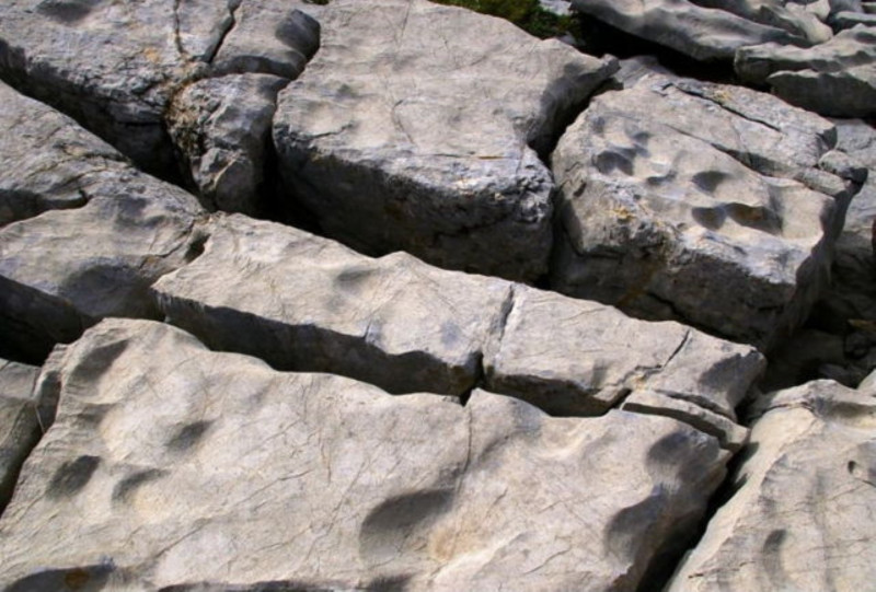 lapiaz-fissure-roche-calaire-sentier-grosse-pierre-grotte-saint-marcel-48