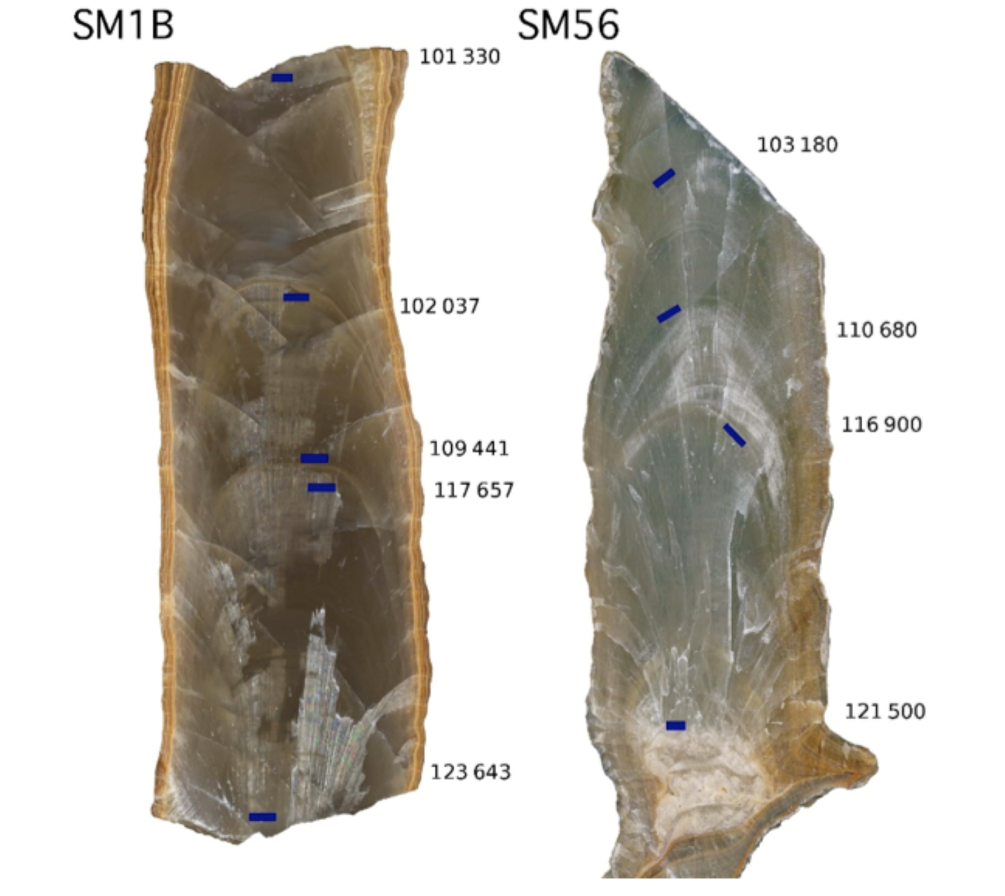 stalagmit schliff saint marcel höhle i couchoud