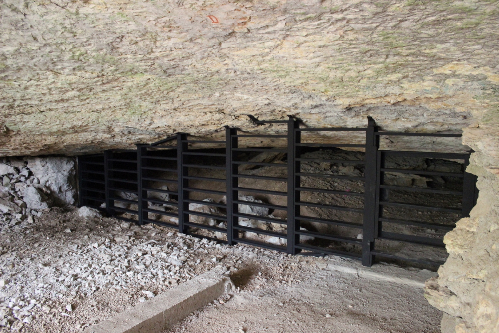 natural entrance protective barrier bats j girars claudon