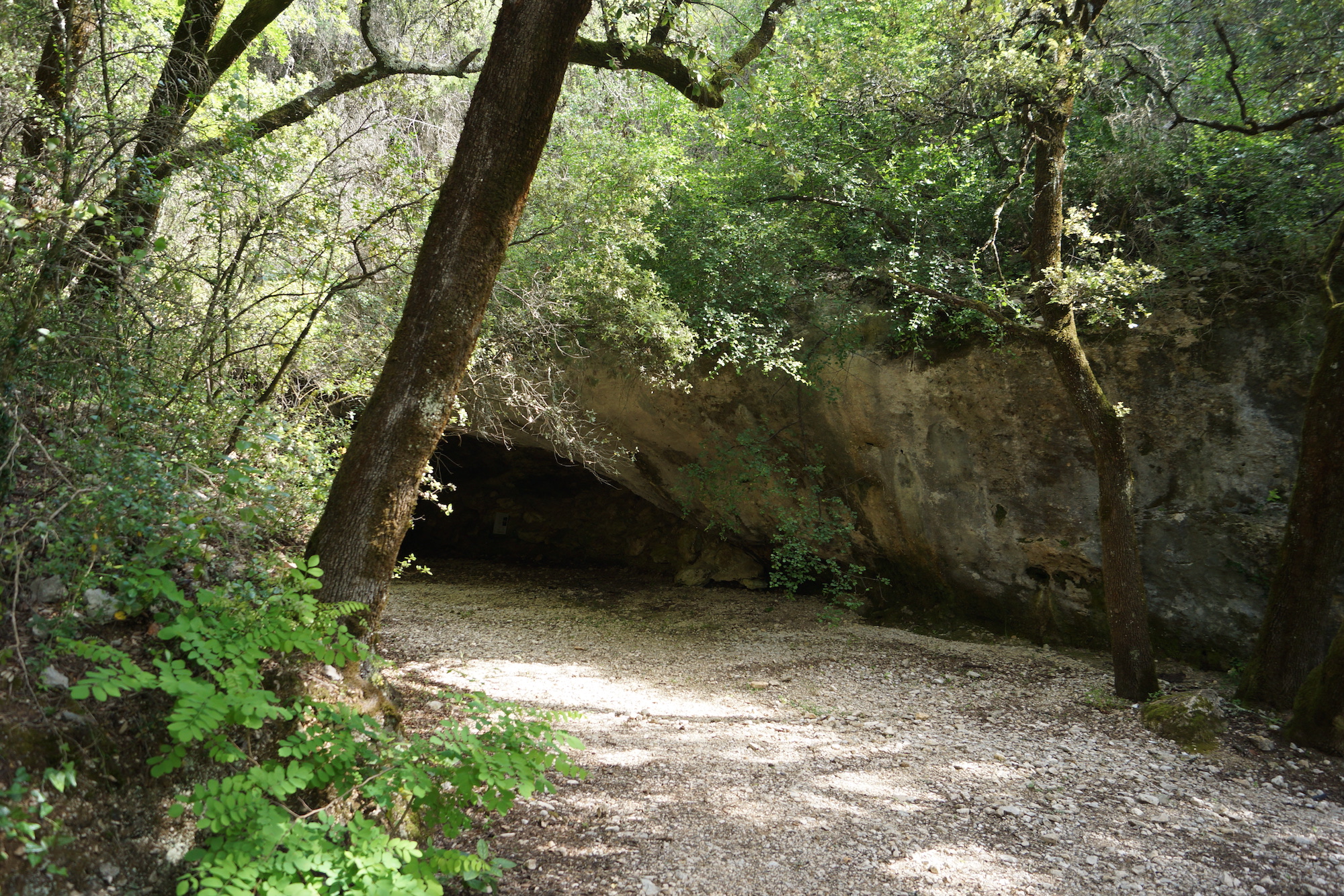 natural reserve natural entrance grotte saint marcel
